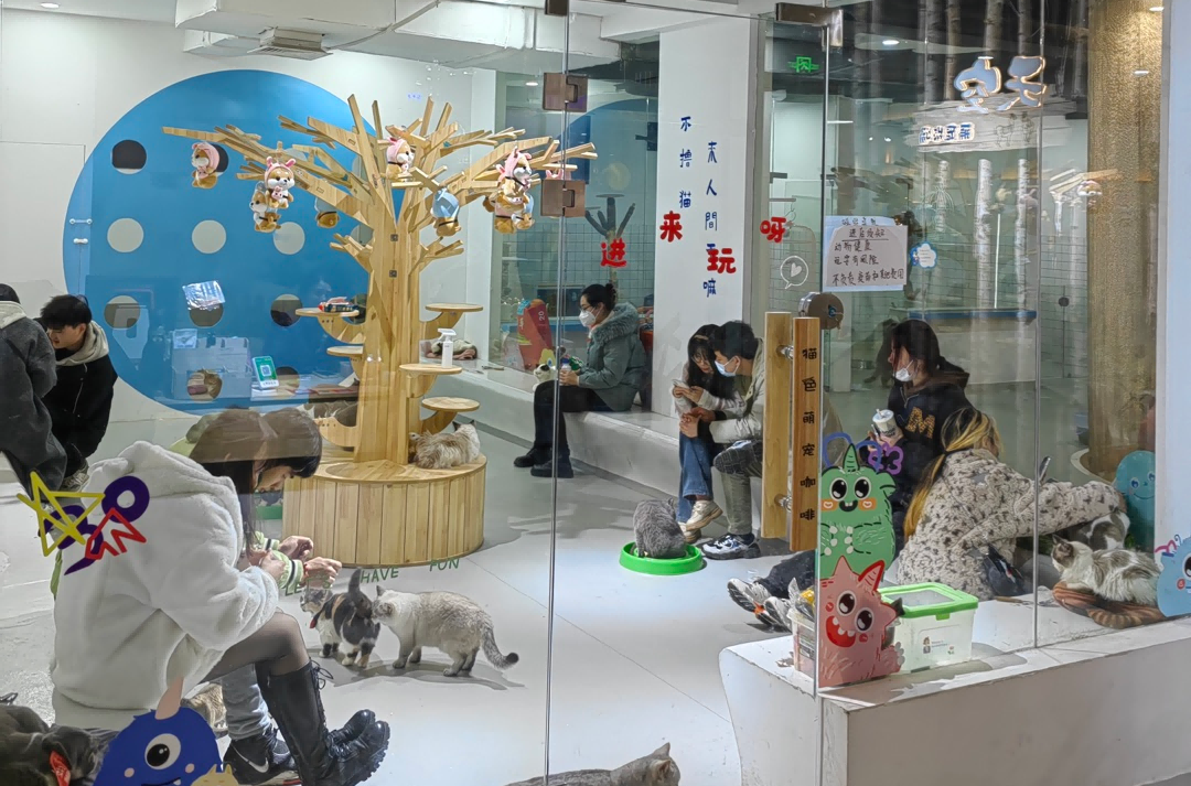 庄闲和游戏(中国)股份有限公司-官网