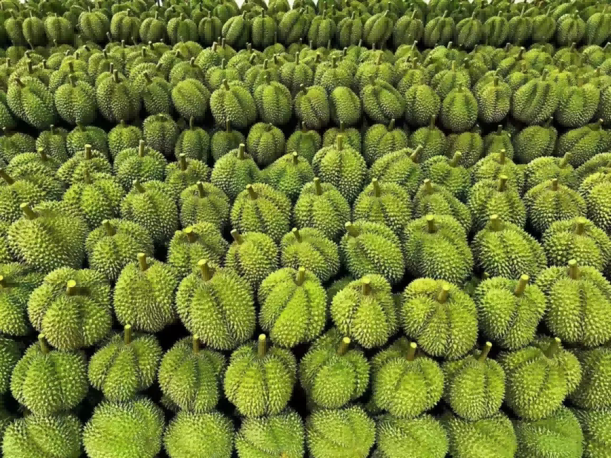 ׯ�к���Ϸ(�й�)�ɷ����޹�˾-����